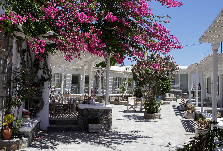 DianaBuiuciuc's tweet photo. Mykonos travel guide - What to see, eat &amp; do https://t.co/0xBAKVU9jH #travel #Greece #Mykonos #VisitGreece #TravelBlog #travelbloggers @thebloggershub_  #wanderlust #ttot #traveltips https://t.co/NXJ7RQmi1N