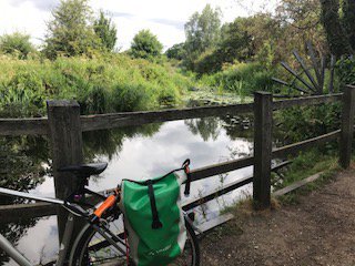KatieDuckworth's tweet photo. Another lovely bike ride through Bushey Park to @StarandGarter today. How I love my route to work to run my #tamingtime workshops. And it's quite nice when I get there, too - thank you for your bubbly enthusiasm #cycletowork #training https://t.co/mVVpoEO0ih