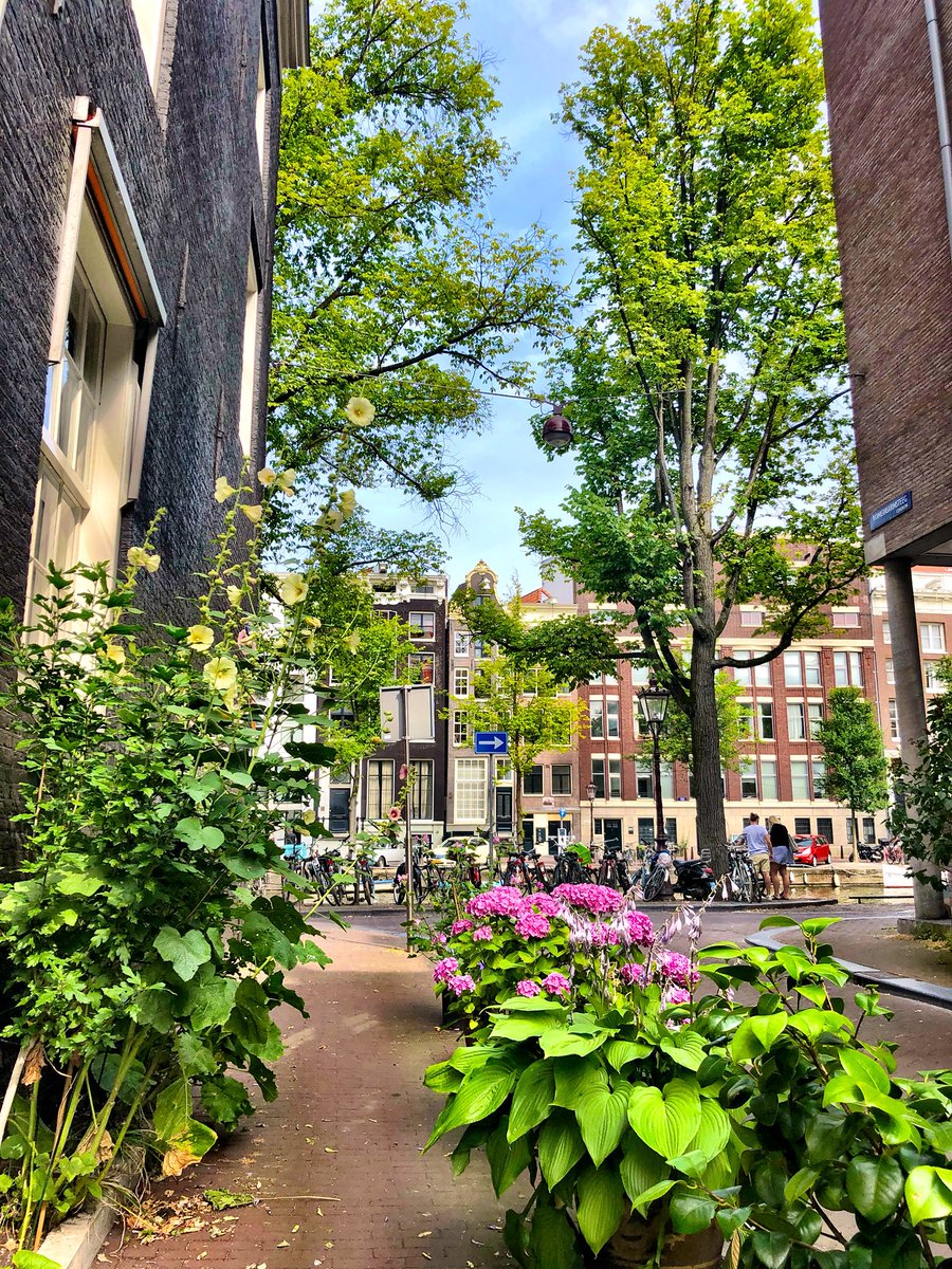 In love with this spot ❌❌❌ #amsterdam #canals #conciergeservice #luxurylifestyle