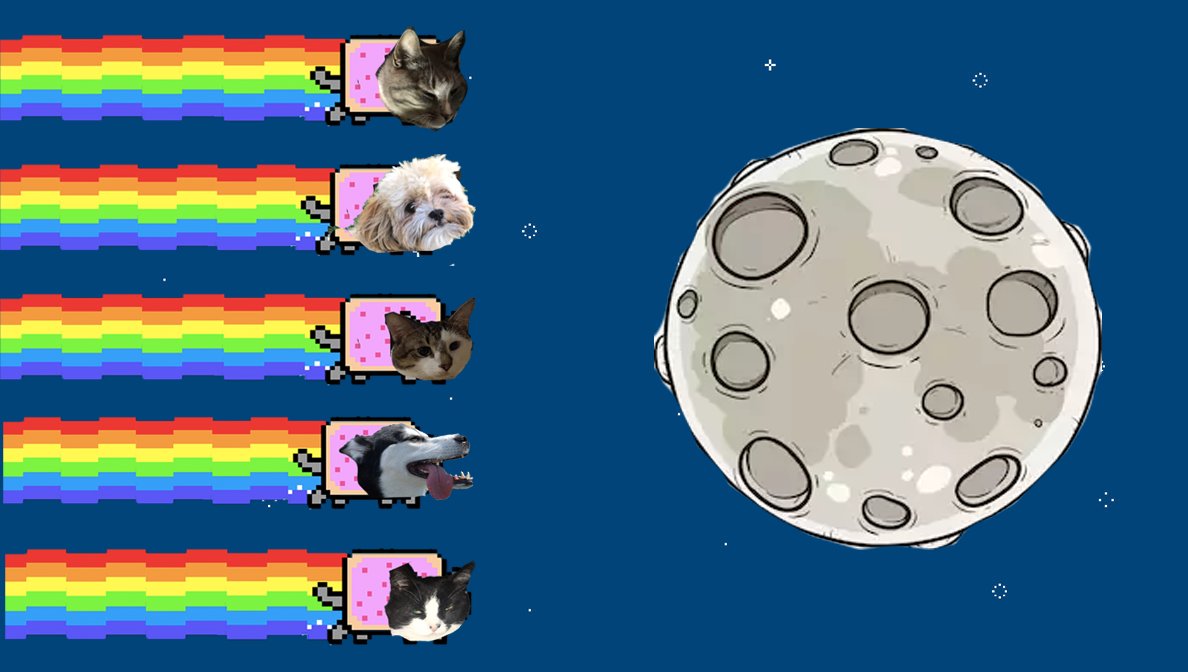 PiedPupper's tweet photo. Crypto pets to the mooooooon

@Litecoinlil @forestcryptocat @barnkitty1 @Holly00d2020 https://t.co/4gKzlzDRbe