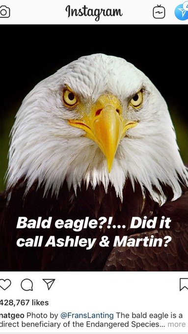 I&rsquo;ll just put this here.. https://t.co/WpRdEgIXJW<a href="/tag/alabama"class="tags"><span>#alabama</span></a><a href="/tag/buckeyenation"class="tags"><span>#buckeyenation</span></a><a href="/tag/collegefootball"class="tags"><span>#collegefootball</span></a><a href="/tag/ncaafootball"class="tags"><span>#ncaafootball</span></a>