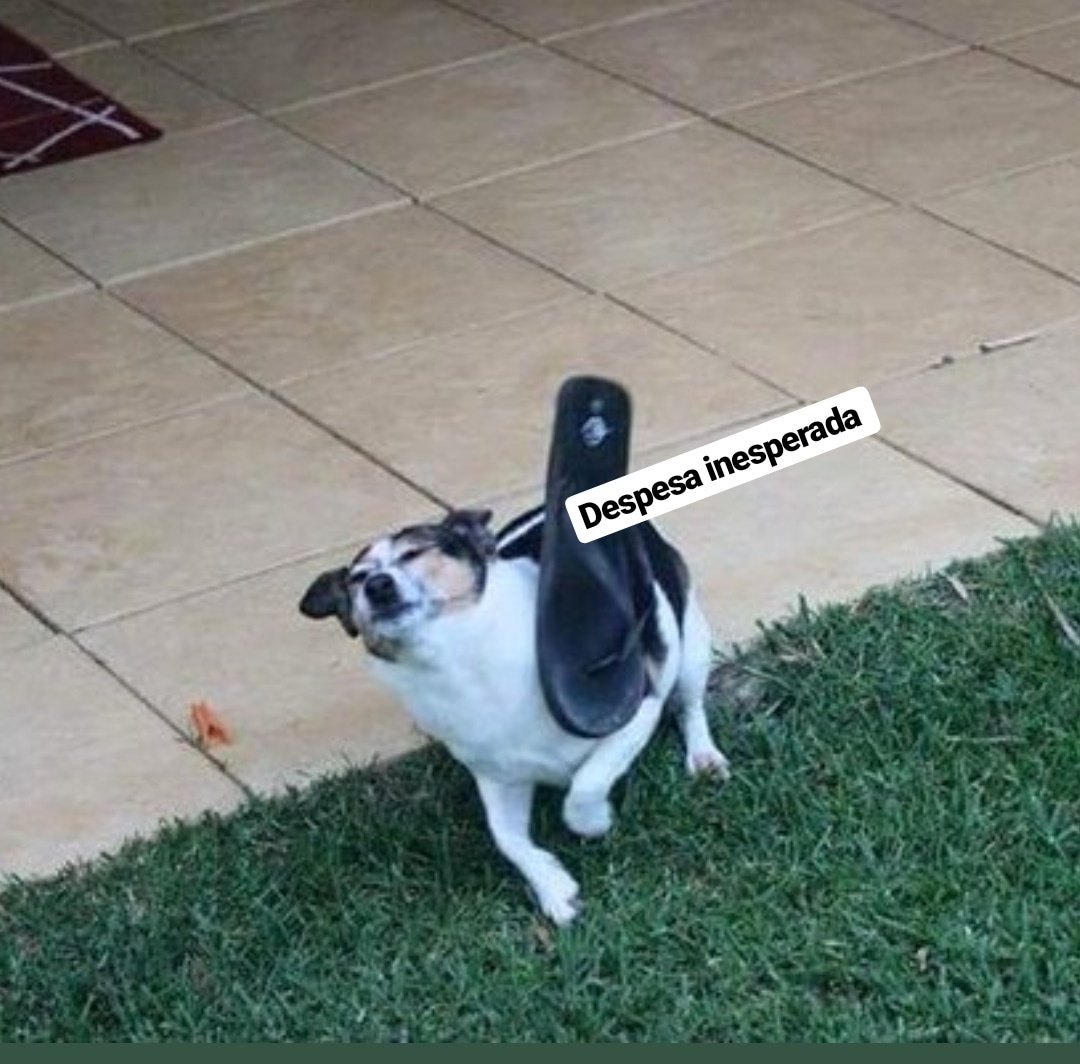 "Finalmente esse mês eu vou juntar dinheiro"