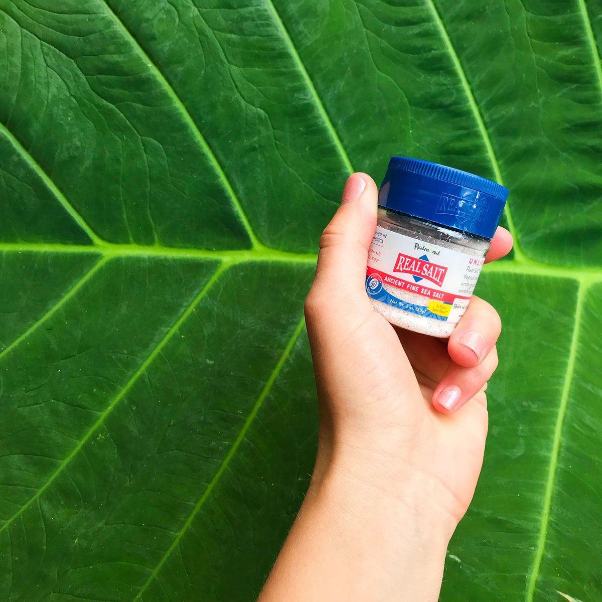 Just a tiny Real Salt shaker livin' its best life and posing in front of a leaf. 😍💚

#betterwithRealSalt