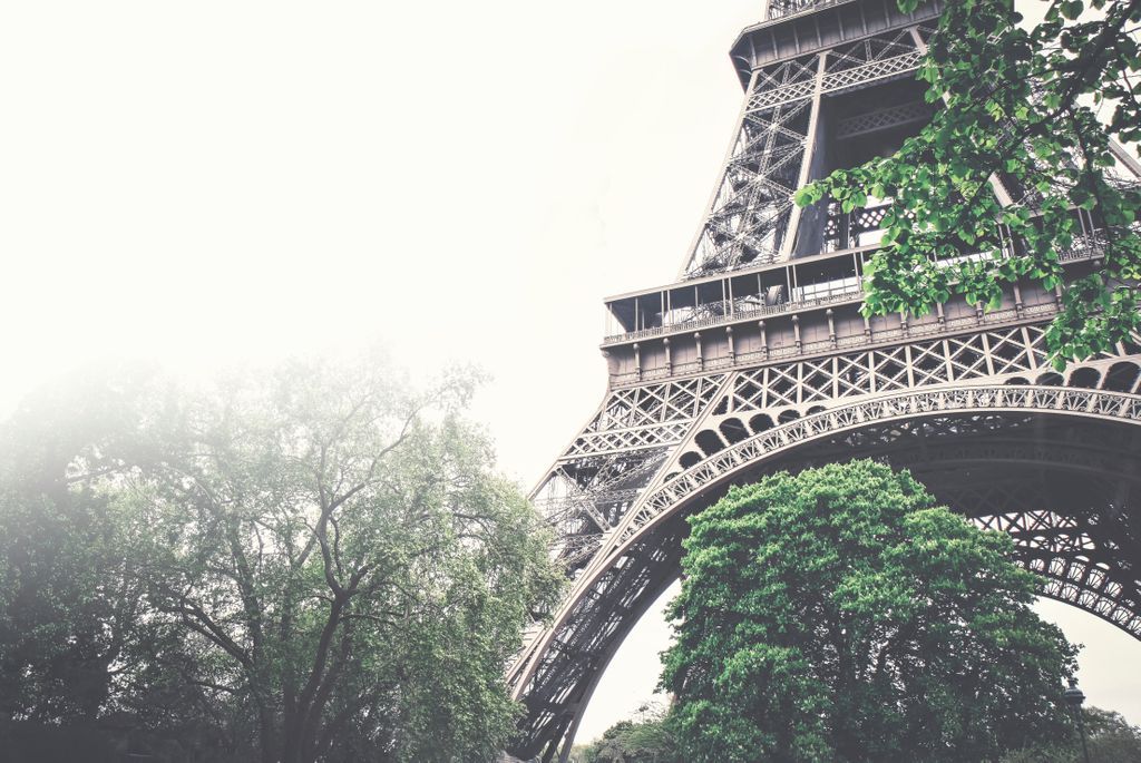TravelNoire's tweet image. Oui, oui! We found flight deals to Paris for less than $300. bit.ly/2LIiJN4