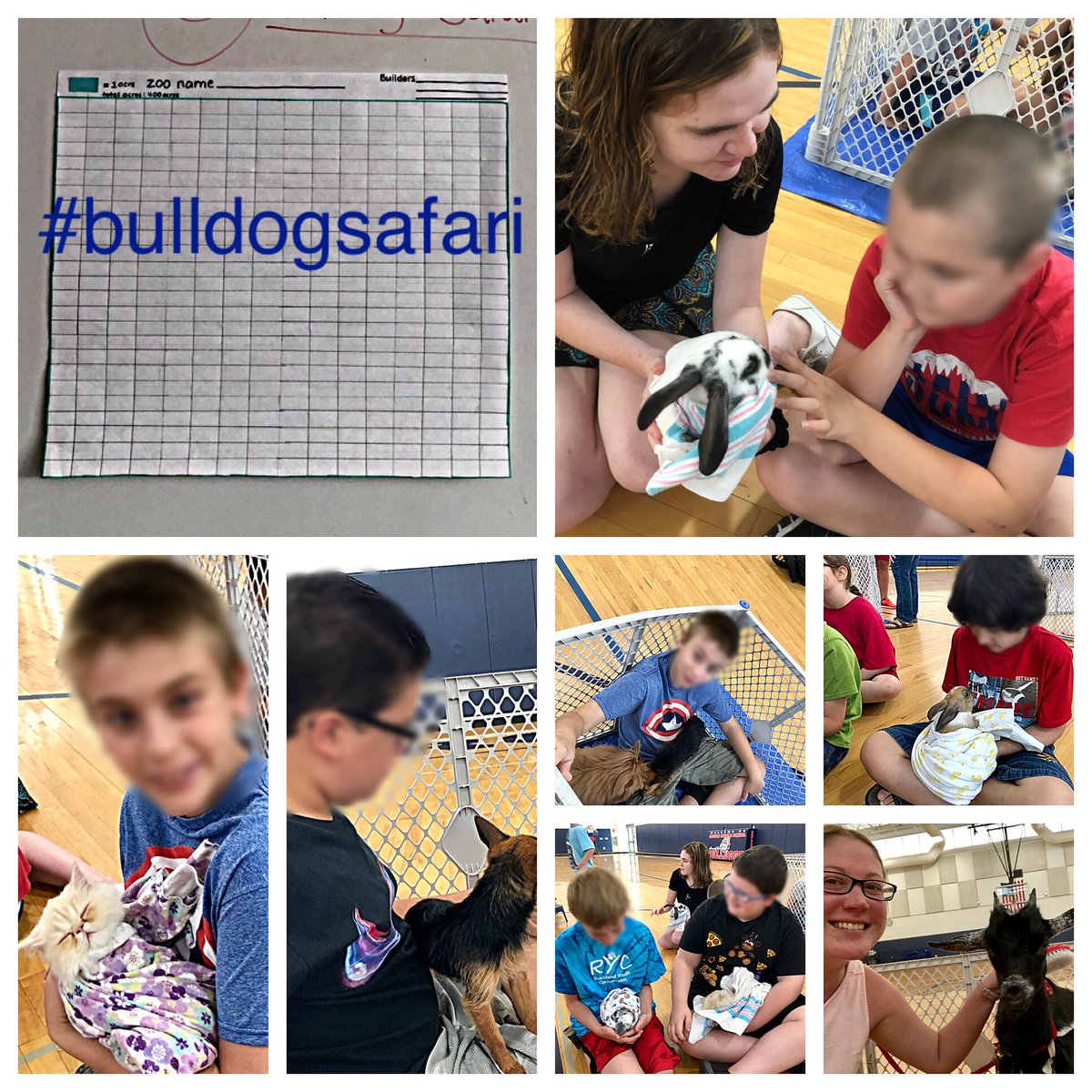 shelleycoulombe's tweet photo. After our field research at Barn babies, we’re in the early steps of planning for our “Bulldog Safari” for Room 220 - hope the plans will be complete by Monday 🐥🐶🐱🐼🐾📏📐✏️ #summerprogram2018 #bulldogsafari https://t.co/wpIsB00xOy
