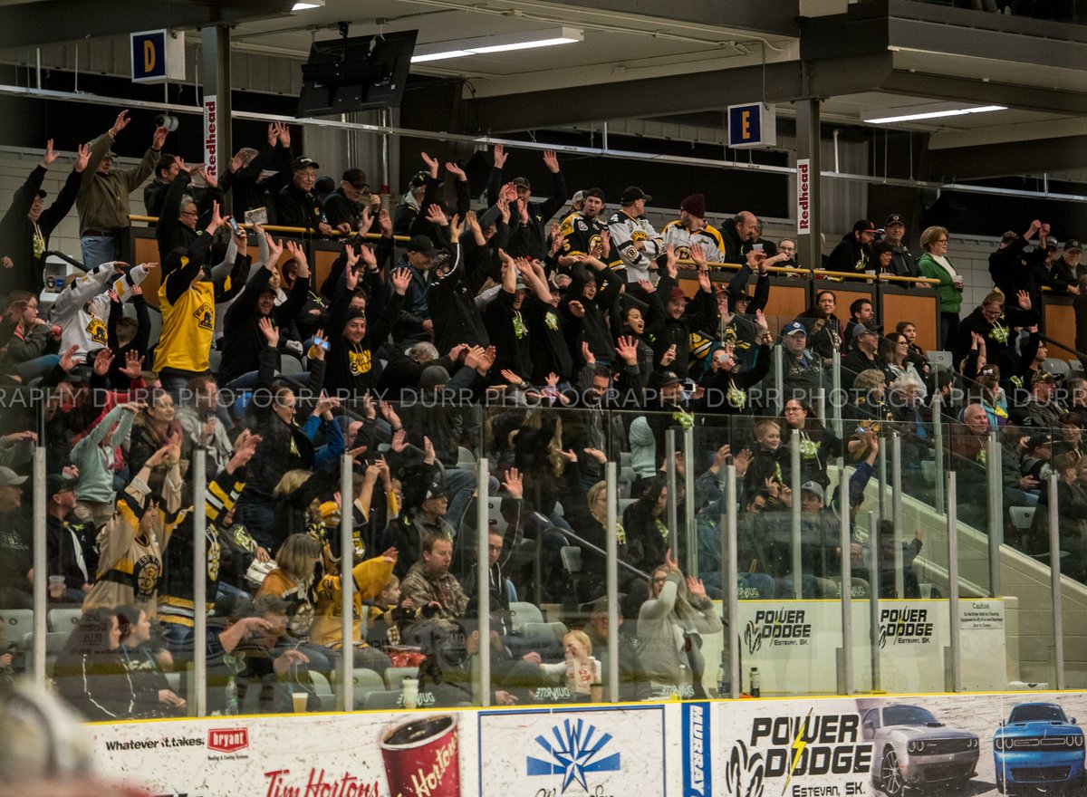 Eagle Sky Estevan Bruins tweet media