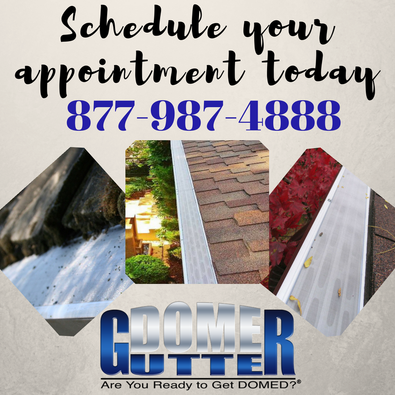 GutterDome's tweet photo. We will provide you with a FREE rain gutter inspection, which includes a no pressure in-home sales presentation. Call us at 877-987-4888 or click to schedule an appointment! → https://t.co/kkz2JVzMq7 #AreYouReadyToGetDOMED? https://t.co/ewqcmTwWC1