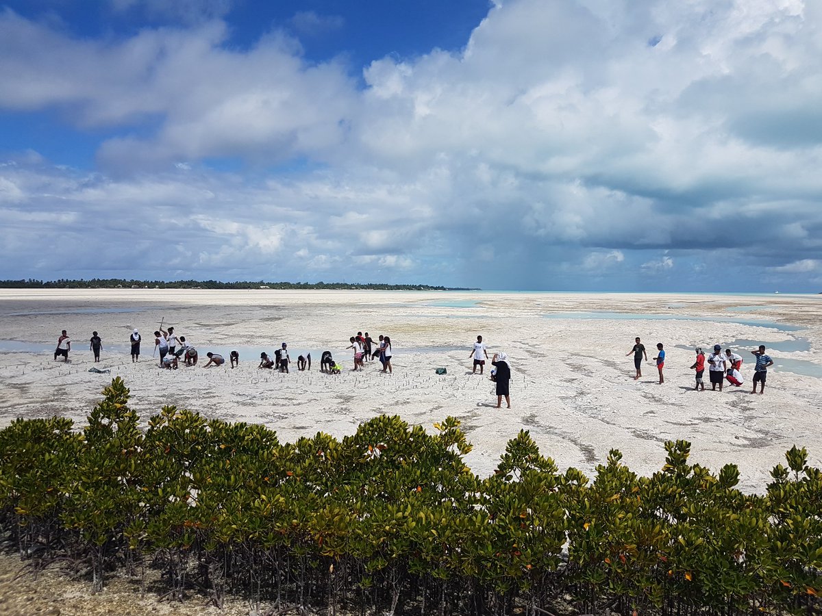 Temarewe Titon tweet media