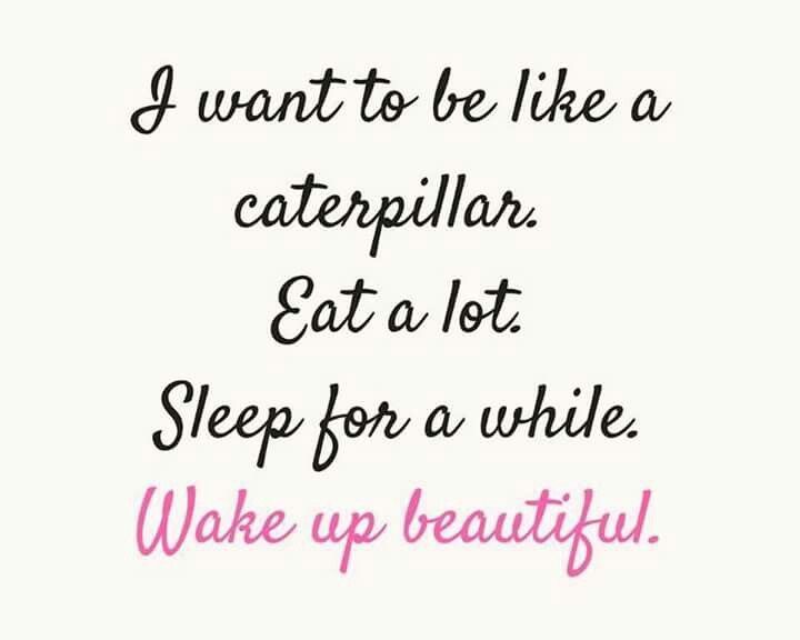 Quality_Sleep_P's tweet photo. https://t.co/dHP1SOTWAI