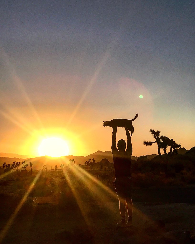 Chad & Stef tweet media