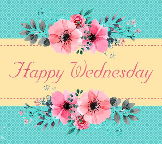 HeyBeautifulVTA's tweet photo. Its Wednesday! Which means it’s almost Friday! After a long week, come in and shop with us☀️ have a beautiful day!
-
-
-
-
-  #summer #wednesdays #humpday #almostfriday #happywednesday #blessed #thankful #ventura #downtownventura #calove #visitventura #heybeautifulboutique #… https://t.co/JnHkzEYbri