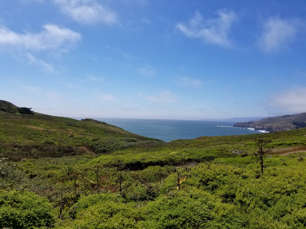 joniiyama's tweet photo. Great @PaloAltoYMCA leadership team in-service training at beautiful @pointbonitaymca  Thank you for hosting us! #strategicplanning #teambuilding #BeCauseY @YMCASV @ymcasf https://t.co/kz0G8F5oKk