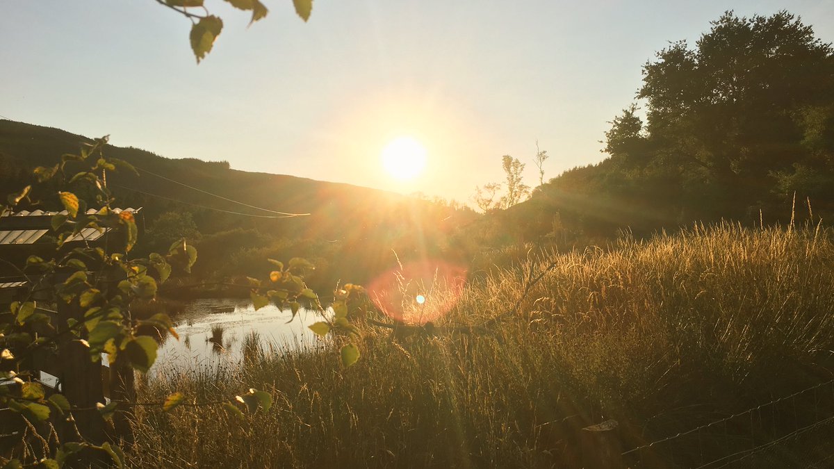 JKannanR's tweet photo. It has been such a fruitful day.
July’s #12MonthsofWildlife took us down to mid-Wales to learn about an #animal that has been dubbed an ‘ecological engineer’ and has not been seen in these parts for hundreds of years. What is this mystery beast? https://t.co/CckFPrltWu