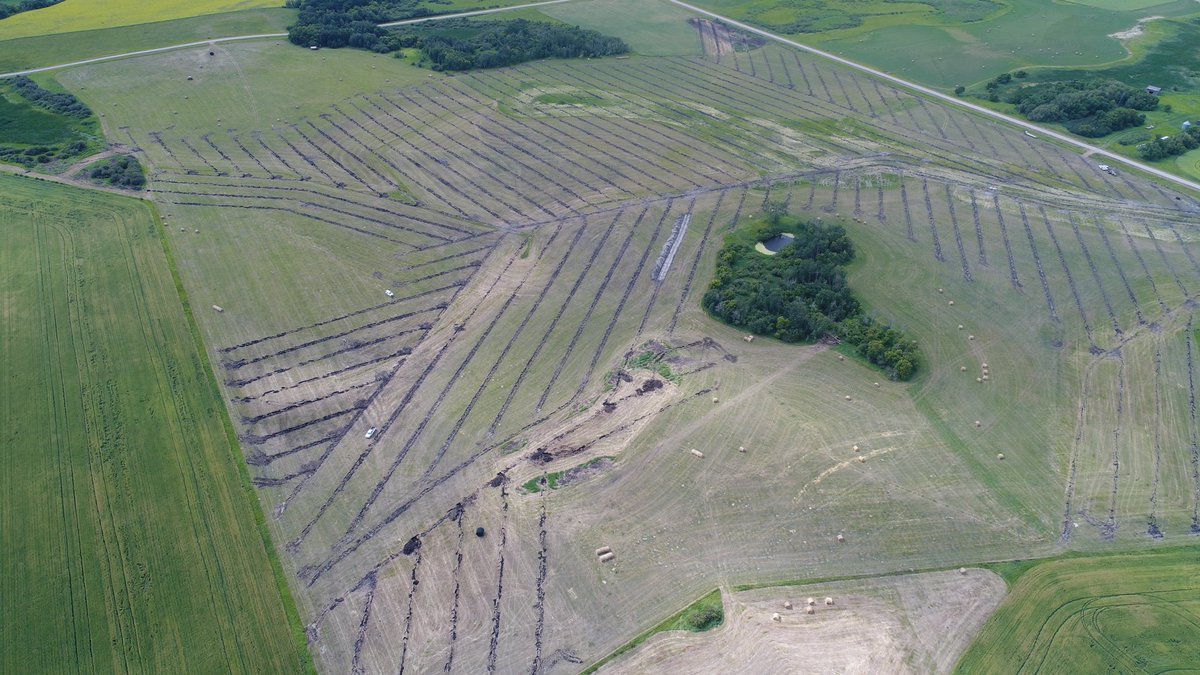 NextGenDrainage's tweet photo. NextGen crews are taking back the land from salt and foxtail across the prairies #tilefever #summertileseason https://t.co/Zf4VbGYTkF