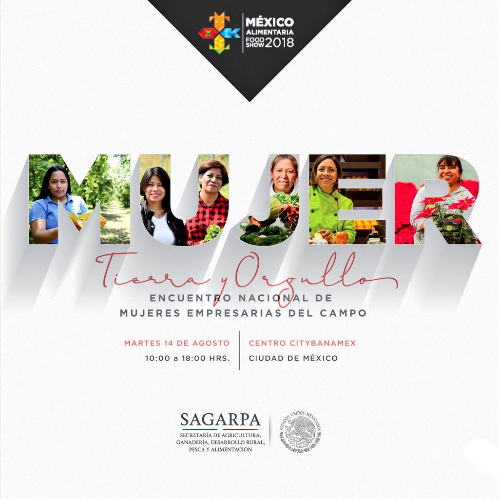 YeseniaMtzPlata's tweet photo. Reunión de estrategia con la Dra. Sandra García Dir. Gral. de Desarrollo Rural y Org. Rural, para el magno evento de talla Internacional organizado por la @SAGARPA_mx la #MéxicoAlimentariaFoodShow #2018 #MéxicoSiembraÉxito @BaltazarxTam @sm_chavarria @MujeresCampo https://t.co/gnTFT8OSvJ