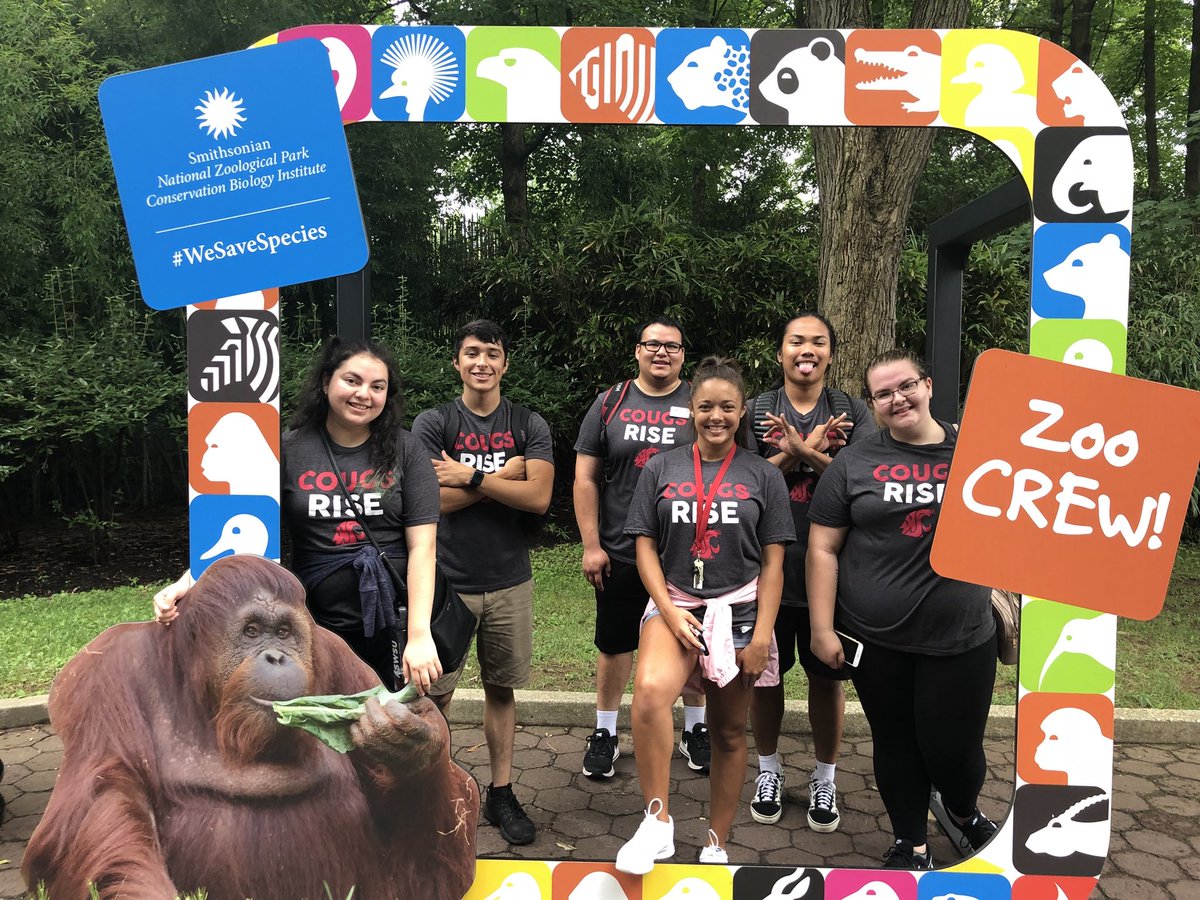 CollegeAccess's tweet photo. Our #CougsRise D.C Trip continues being full of learning experiences! Day 5️⃣ was a blast. We witnessed democracy in action by meeting with #Coug Alum Senator @PattyMurray and sat at the Senate gallery during a voting roll call. #CougsRising #GoCougs https://t.co/uxgrlJUiGh