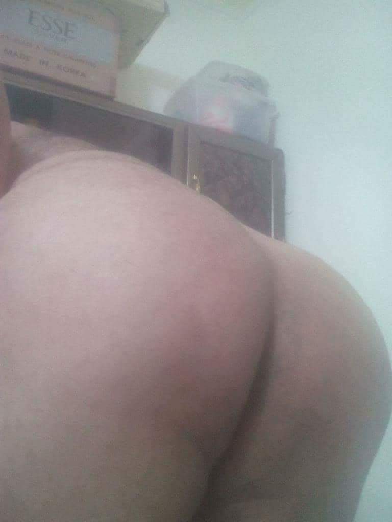 اي يبي فحل