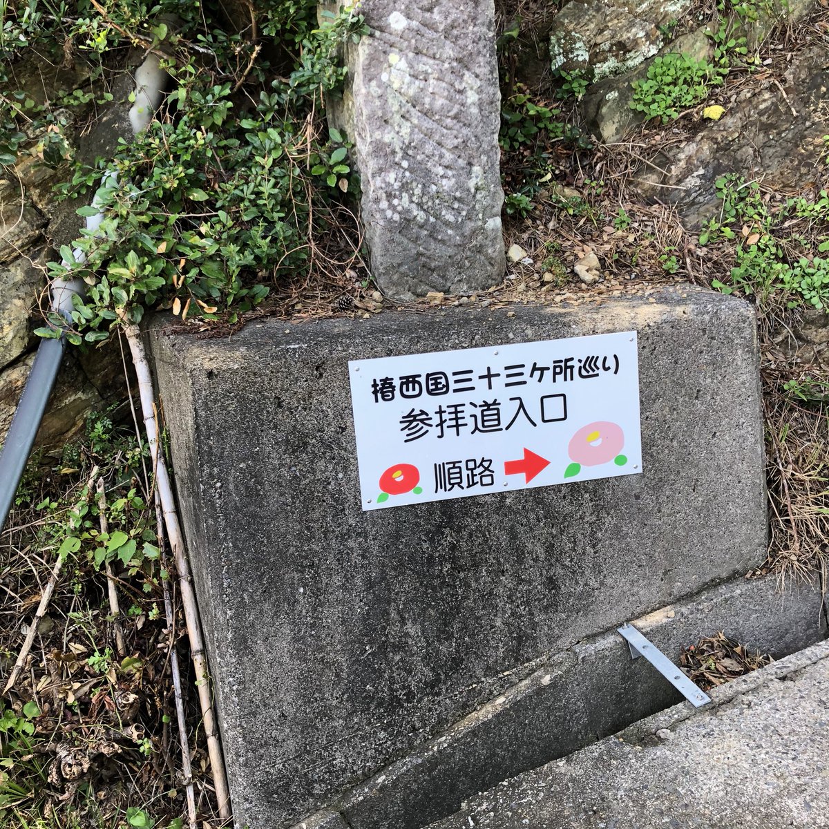 deblin935's tweet photo. #椿温泉 シリーズ
#椿西国三十三ヶ所巡り をしてきました。途中雨が降ってきましたが無事に‼️
願い事叶うといいな✨

#椿温泉女子旅モニターツアー
#和歌山パワースポット https://t.co/u5xM8JPJYk