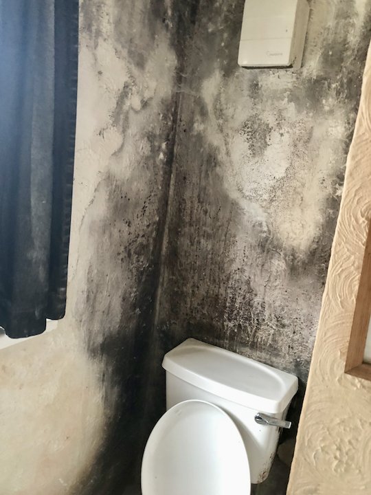 Bathroom / WC with mould on ceiling and walls dlvr.it/Qcn6Q1