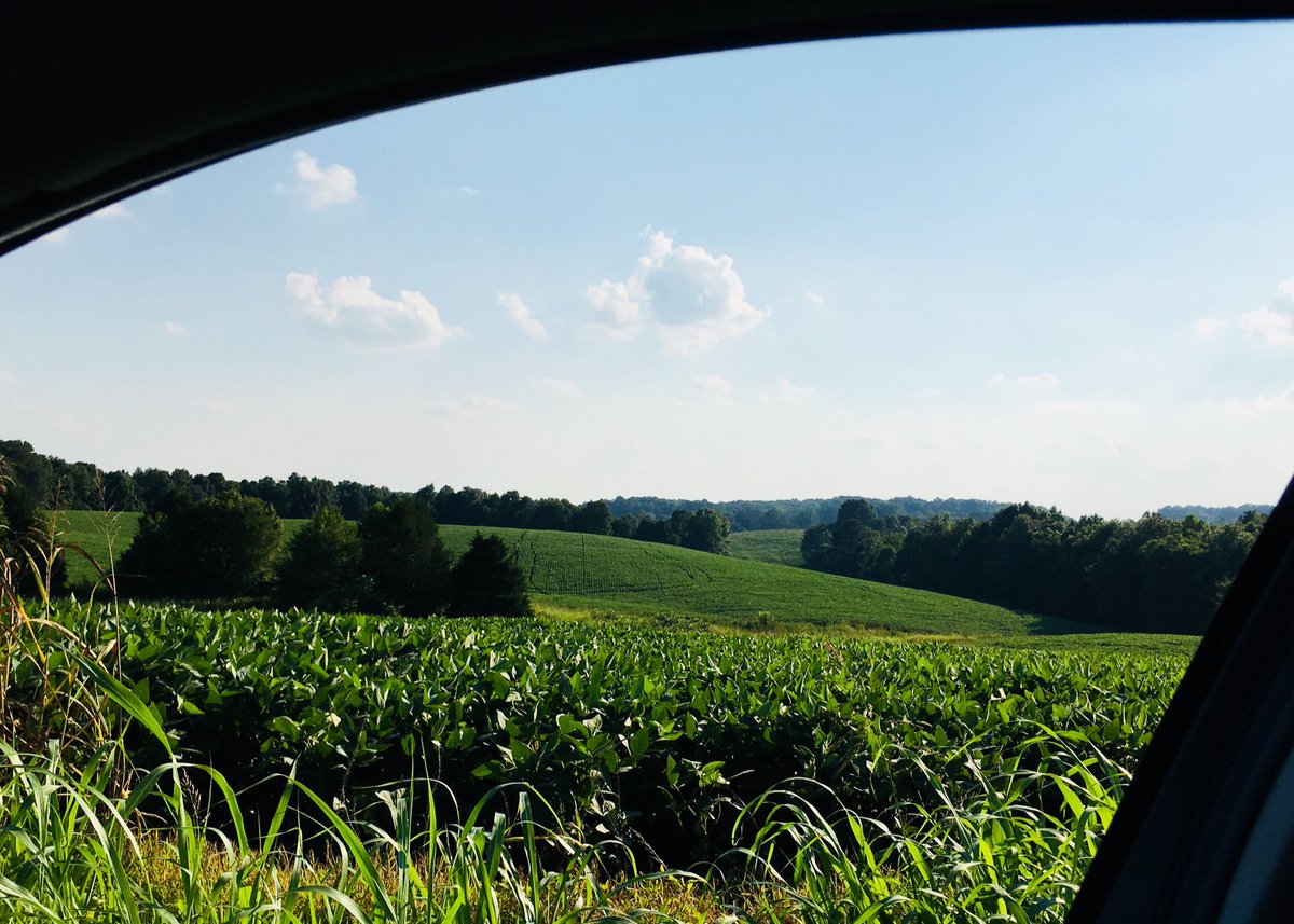 Nancy Mann tweet media