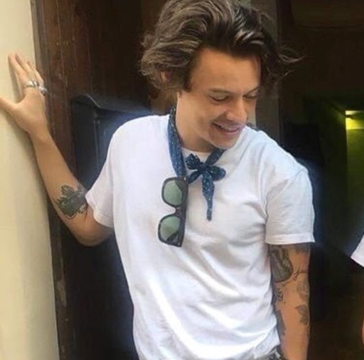hazstylestrash's tweet photo. HARRY IS GROWING OUT HIS HAIR, THIS IS NOT A DRILL https://t.co/gugvWsUj7g