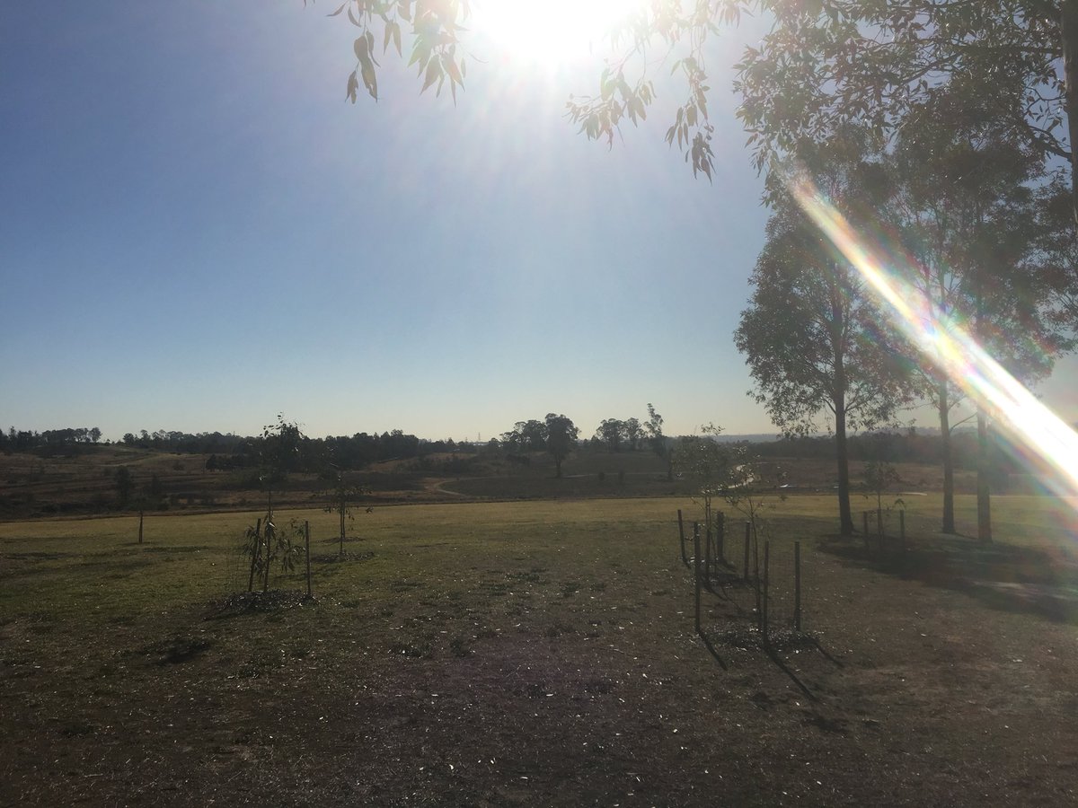 CollinsQtr's tweet photo. Out planting 500 trees today with the @NSWPlanning team for the #5milliontrees campaign! https://t.co/ypRHZf0otu