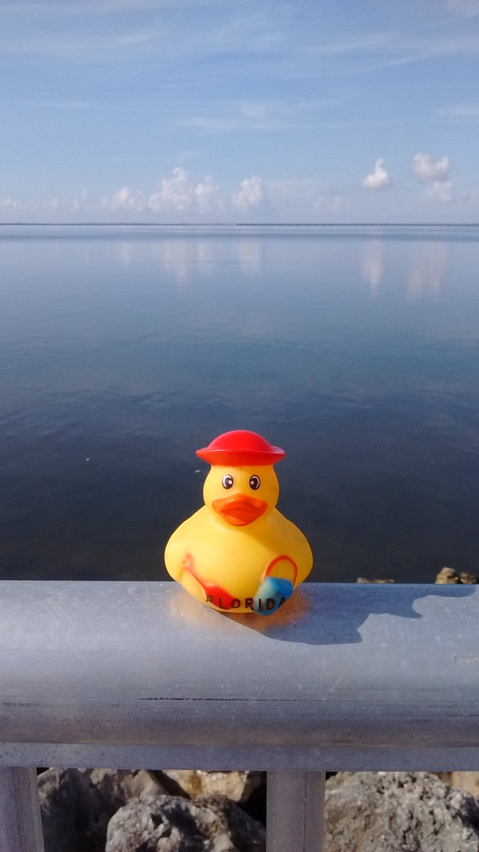 nomadducks's tweet photo. #love #Florida this place #rocks having #fun enjoying the #ocean come find me so my #journey can continue  #rubberduck #SaltLife https://t.co/vrcGycMuZ9