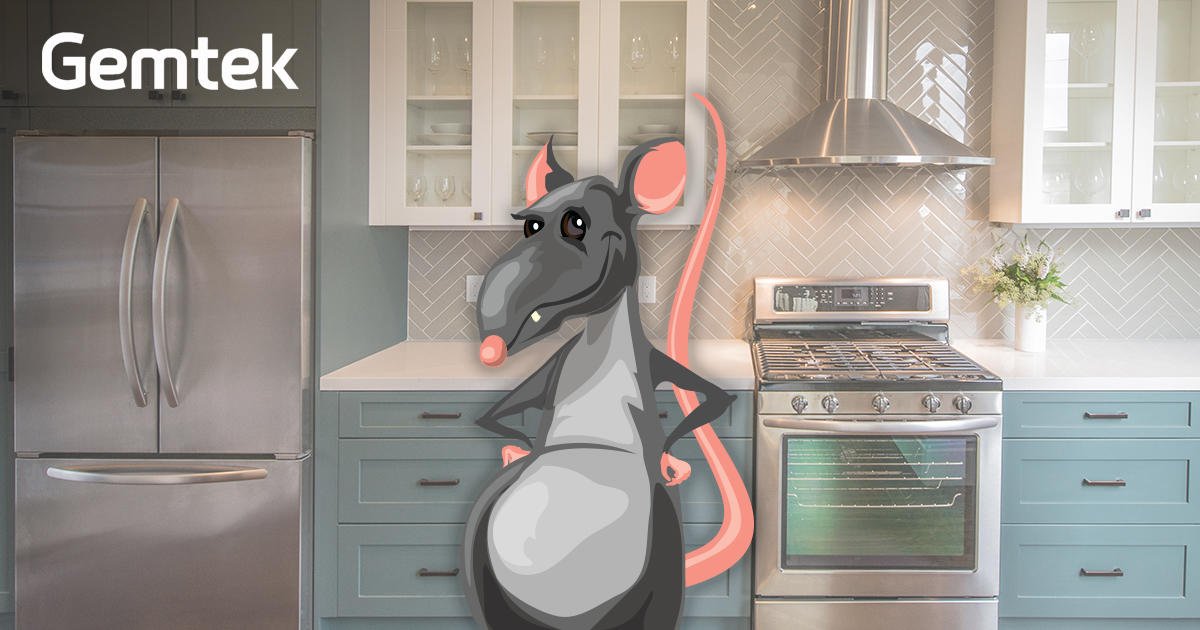 Are rodents running ‘round your residence? Reach out regarding removal right away. #RRRTheyGone ?

fal.cn/ymTM