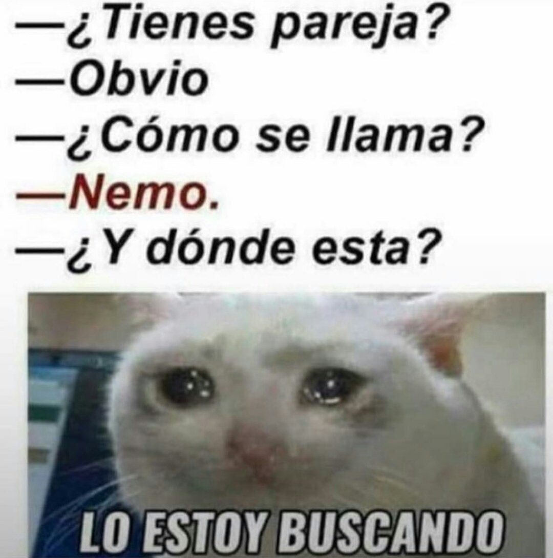 Apixelados's tweet photo. RT si eres tú https://t.co/hJHWQ7HeZe