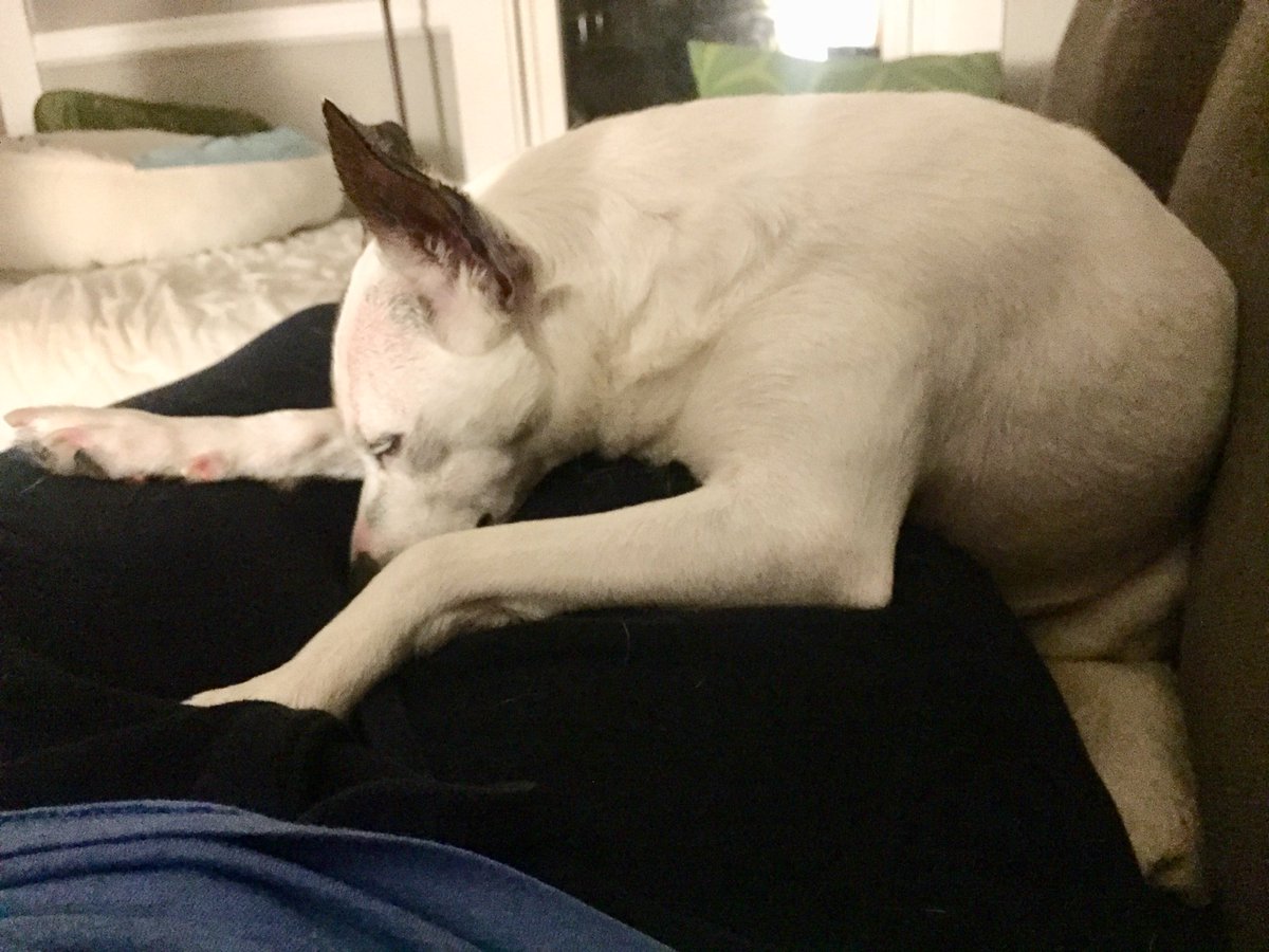 How am I supposed to finish my work tonight with this situation happening here?