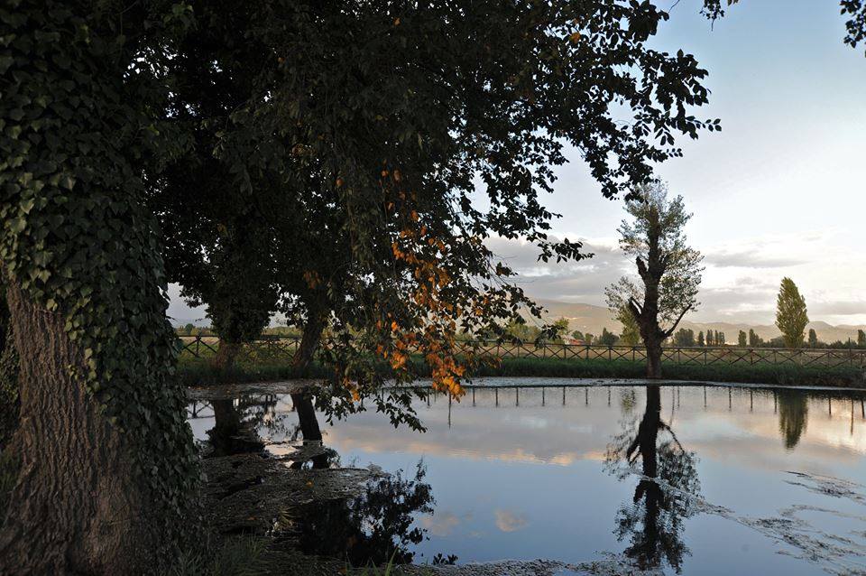 Museo di Bevagna tweet media