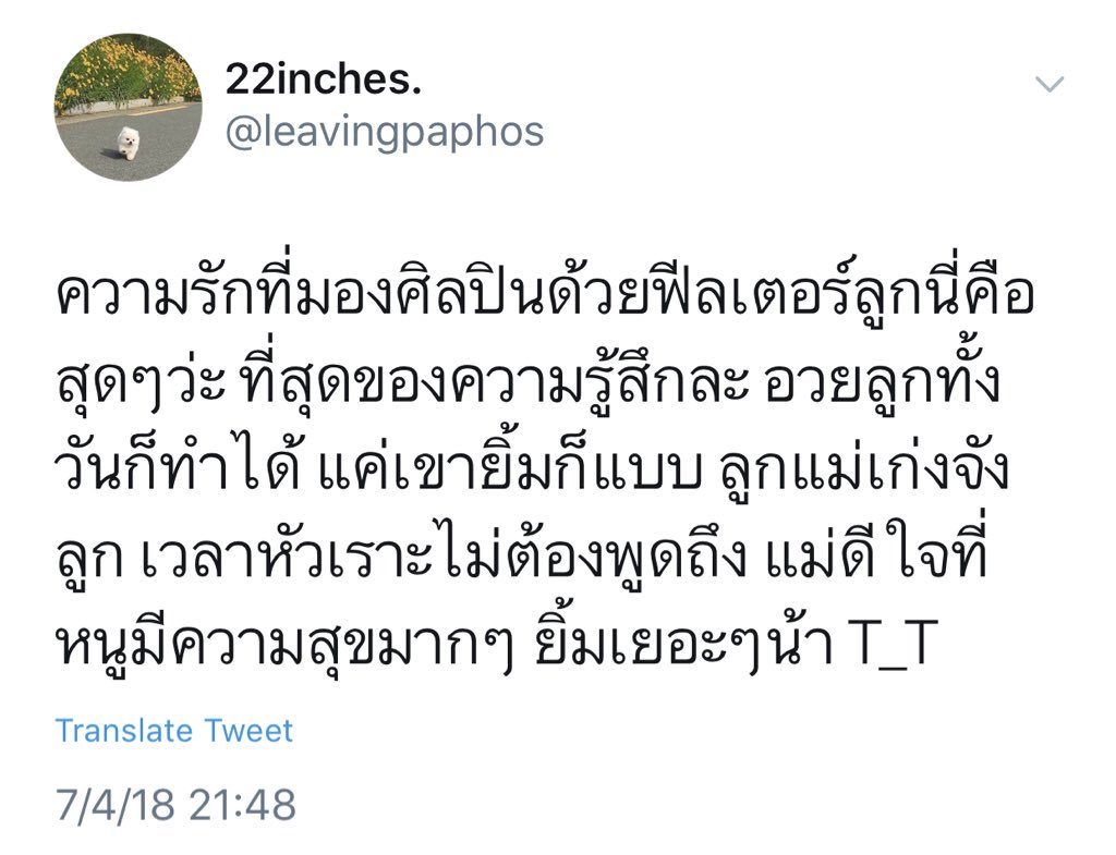 𝗽𝗮𝘁𝘁(𝙞𝙚)♡ tweet media