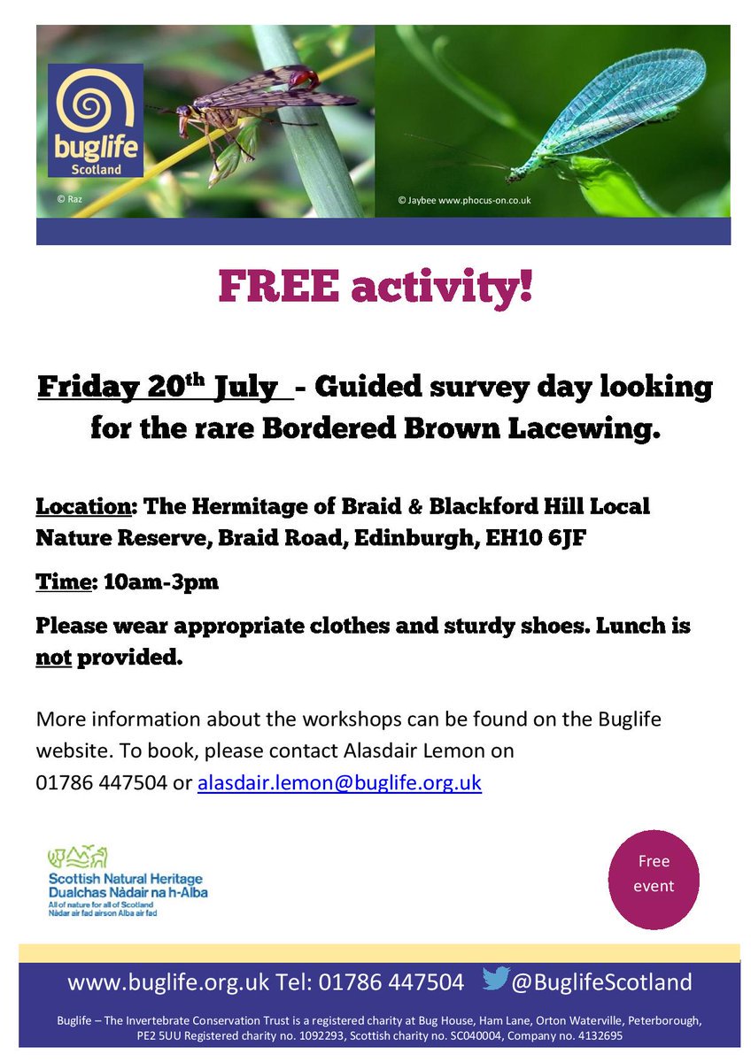 jgilchrist13's tweet photo. Following good news of recent bordered brown lacewing discoveries, @BuglifeScotland survey Hermitage of Braid Blackford Hill Edinburgh on 20th July: https://t.co/ACiJV37pkZ
#lacewing #borderedbrownlacewing #Neuroptera #BlackfordHill #Edinburgh #Scotland
📷: Arthur's Seat survey. https://t.co/lCGohnp7IX