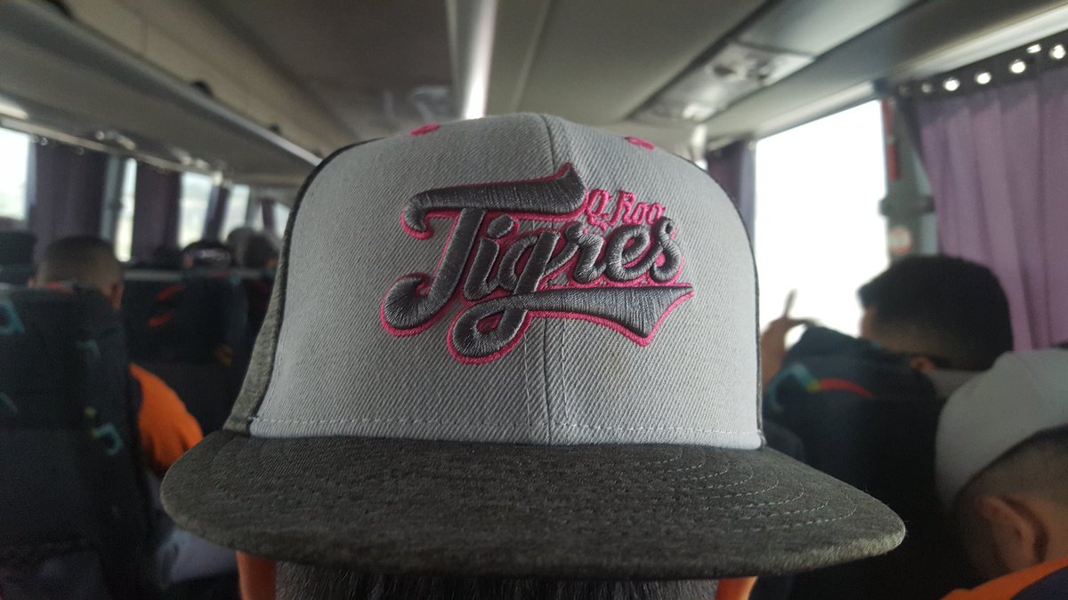 ¡Esta es la gorra oficial de "igualdad de género", apoya la bonita causa de <a href="/LigaMexBeis/">Liga Mexicana de Beisbol</a> y <a href="/neweramx/">New Era Cap México</a>

#SomosTigres 👊
#CuentaParejaLMB