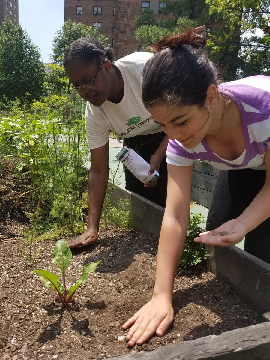 Huge thanks to <a href="/HarlemGrown/">Harlem Grown</a> for engaging our Fellows and deepening their understanding of #urbanfarming, #sustainability, and the role food justice can play in boosting #publichealth in our communities!