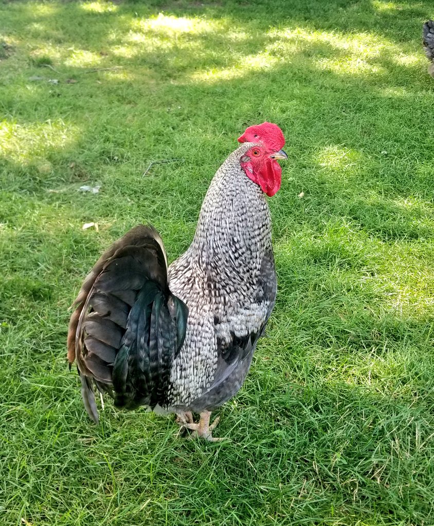 @The_Organic_Guy @ezrashedracks @rodgers_kirwa @Etoo254 @OluochGregory @diangaronald @RKDAVID1 @MissNasike @ChemiteiJanet @limbua_mercy @Nasiali_N Never know who you'll run into at an organic farm.