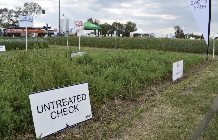 Stop by booth 354 at <a href="/AginMotion/">Ag in Motion</a>  to check out our herbicide plots. Learn about the Edge buy 7 get the 8th one FREE program, put the kids on the bouncy castle, and after 2:30 have a beer on us!