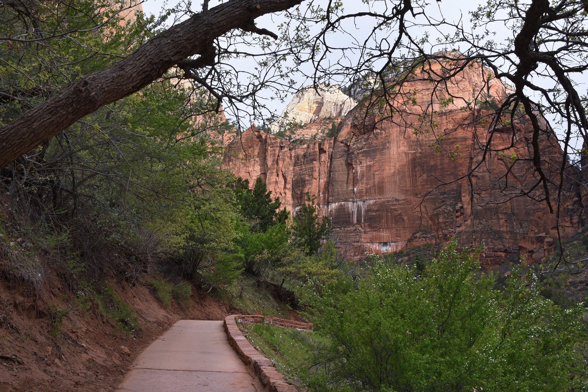 A hiking trail curves along a sloping hillside, leading past green trees and bushes towards a red rock mountain.
