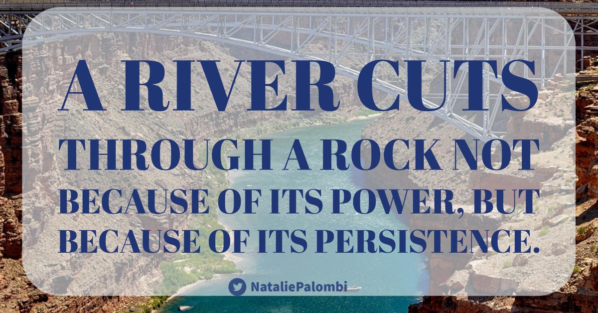 natalierfields's tweet image. Persistence and consistency are the KEY to success!! #success #10X #QOTD