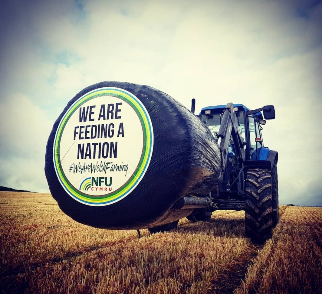 It's our favourite time of year...sticker spotting time! They're coming to a field near you. If you spot one, be sure to tweet us the picture. This year we have three different versions but this is the principal message....we are feeding a nation #WeAreWelshFarming 💪