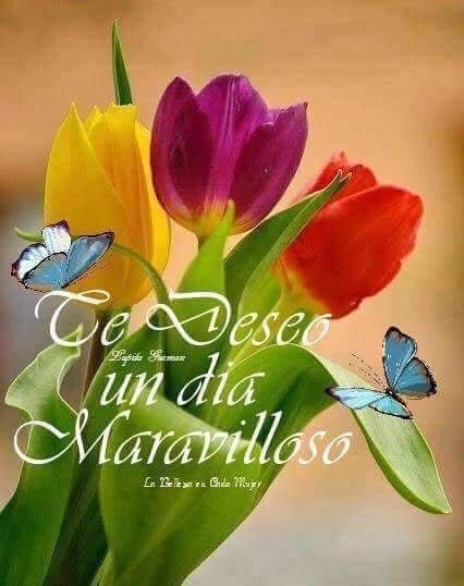 Male on Twitter: "Edith Marpfa Amigos de este grupo Feliz tiempo Excelente  dia… https://t.co/7wq6YQHNoQ"