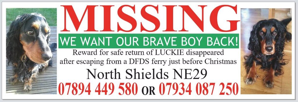 #HelpFindLucky All he wanted was to be with his family for Christmas BUT #DFDS lost him! His family thought he was safe but when they left #PortofTyne they were told they'd let LUCKIE escape by not securing his kennel on board HE WAS SPOTTED ON #CCTV running in the port scared