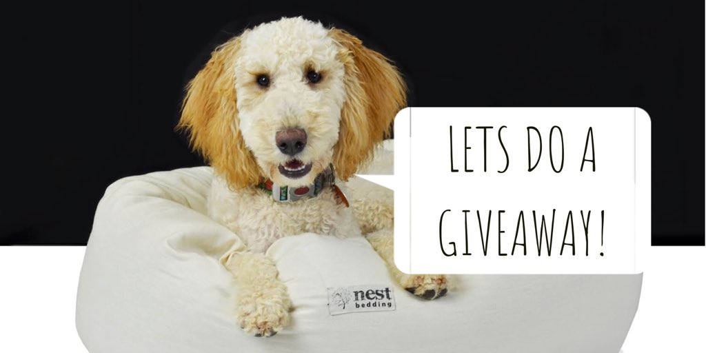 nestbedding's tweet photo. Who’s ready for a Nest Bedding giveaway? 🚨 We’re sending out 5 of our brand new pet beds! That’s right, FIVE WINNERS! MUST be following @nestbedding - RT to enter, and tell us about your pet in the comments below! 🐶🐱🐰🐵 #nestbedding #GIVEAWAY https://t.co/hNsbjMCkHn