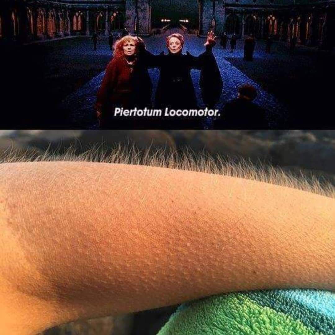My second favorite only bested by Molly weasleys "not my daughter you bitch"