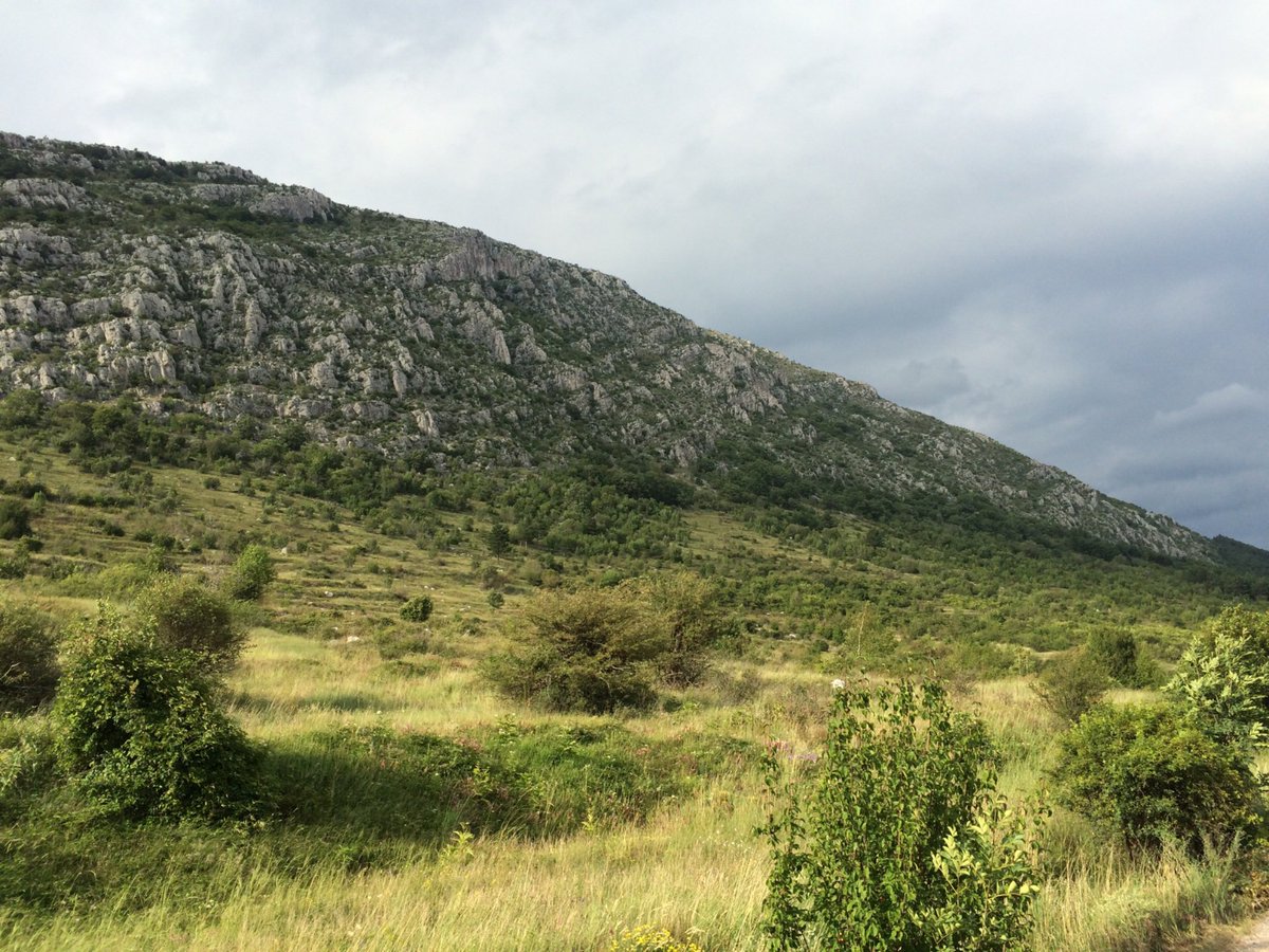 SmallFarmMounta's tweet image. Mountain 🌲🌳