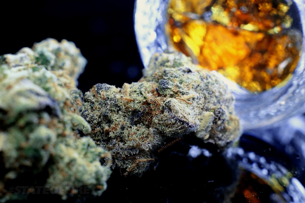 Top story: <a href="/stateoffire/">STATEOFFIRE</a>: '#OREGONSFIRE 🔥🔥🔥
<a href="/_jena4n/">JenaSativa420 ✌️</a> <a href="/dankcreative/">Dank Creative</a> @CANNiLIVE <a href="/cannaworldsite/">CannaWorld</a> <a href="/afterdarkmusic/">AfterDark</a>  <a href="/crystal420_/">ᶜʳʸˢᵗᵃˡ</a> <a href="/TheLoudBank/">LoudBank Garden Supplies</a>  <a href="/Kunzitoons/">Kunzitoons</a> <a href="/NorCalStoner420/">★Mary★</a> <a href="/TricomitoS/">Tricomito</a> <a href="/Norstackk/">S. W. N.</a> @realmedicineMI <a href="/Raymosaki/">Bruce W.</a> … , see more tweetedtimes.com/GanjaGadfly?s=…
