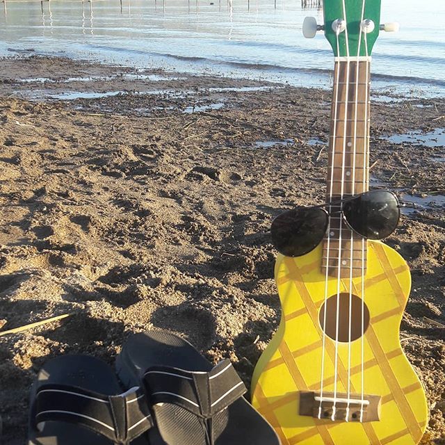 ukulelebeach's tweet photo. #ukulelebeach #ukulele #uke #beach #shades #flipflops https://t.co/zicBapIKtO https://t.co/mZf6iirLB9