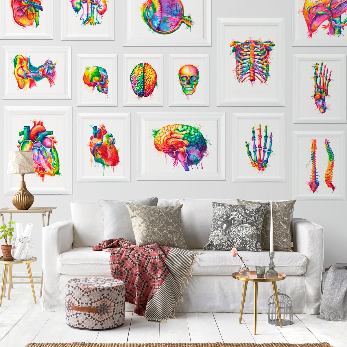 codexanatomicus's tweet photo. Colors ❤️🧡💚💜💙 https://t.co/BaKTHeeaa0