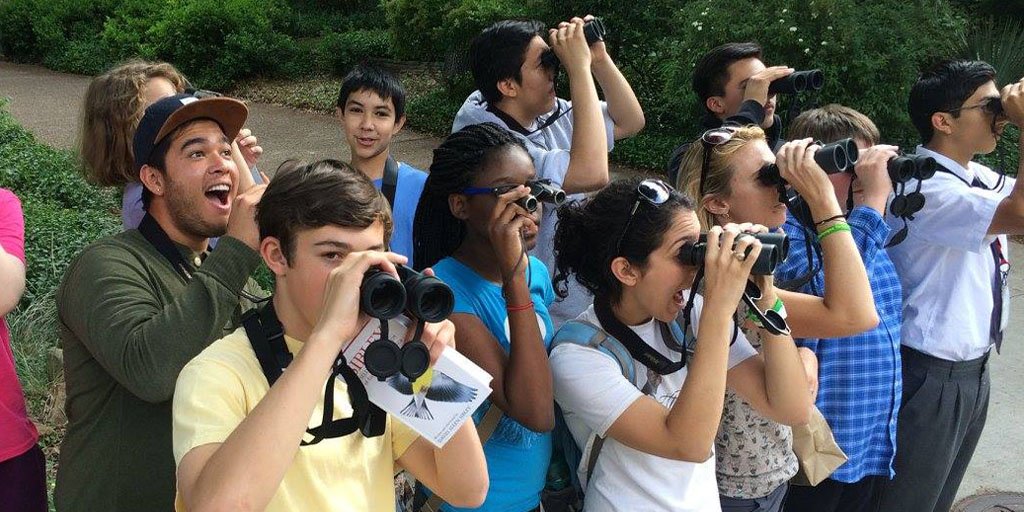 Team of birders look through binoculars