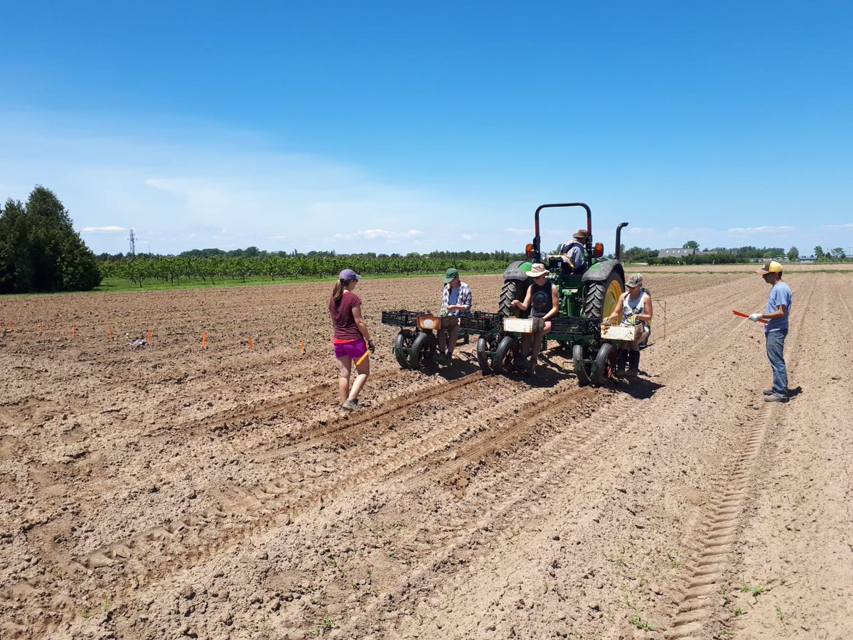 And some planting pics.  Such a great team!!